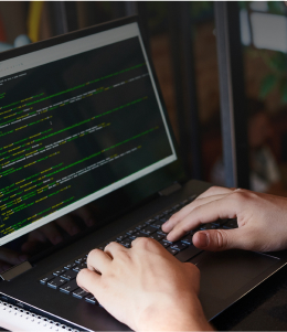 Palestra / Bodybuilding / Fitness